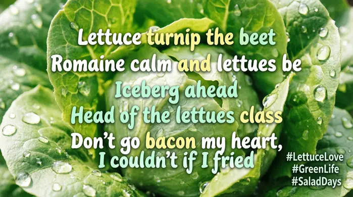 Lettuce Instagram Captions