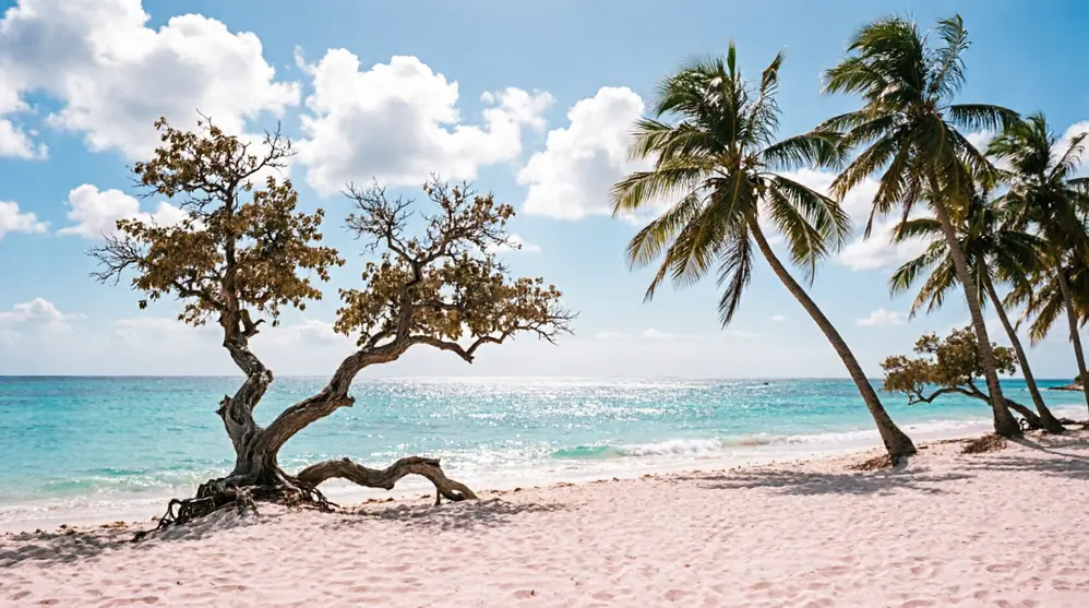Aruba One Happy Island